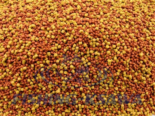 perfect duo wanilia.JPG