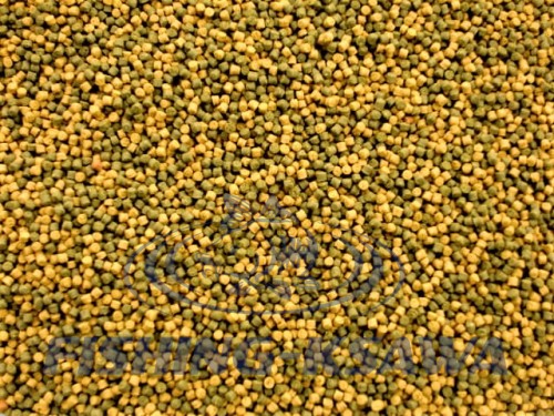 perfect duo krab.JPG