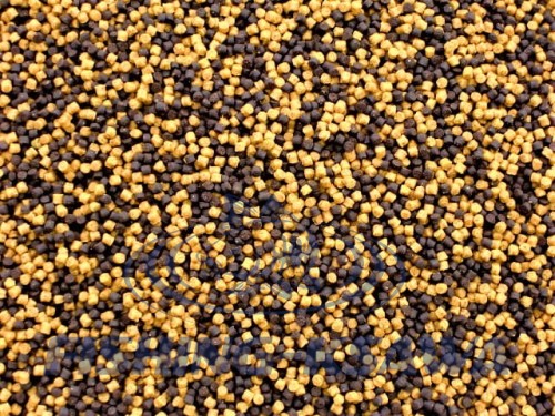 perfect duo orzech tygrysi.JPG