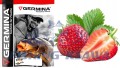d34448a597f5c7eaff5ca8a44039ab07